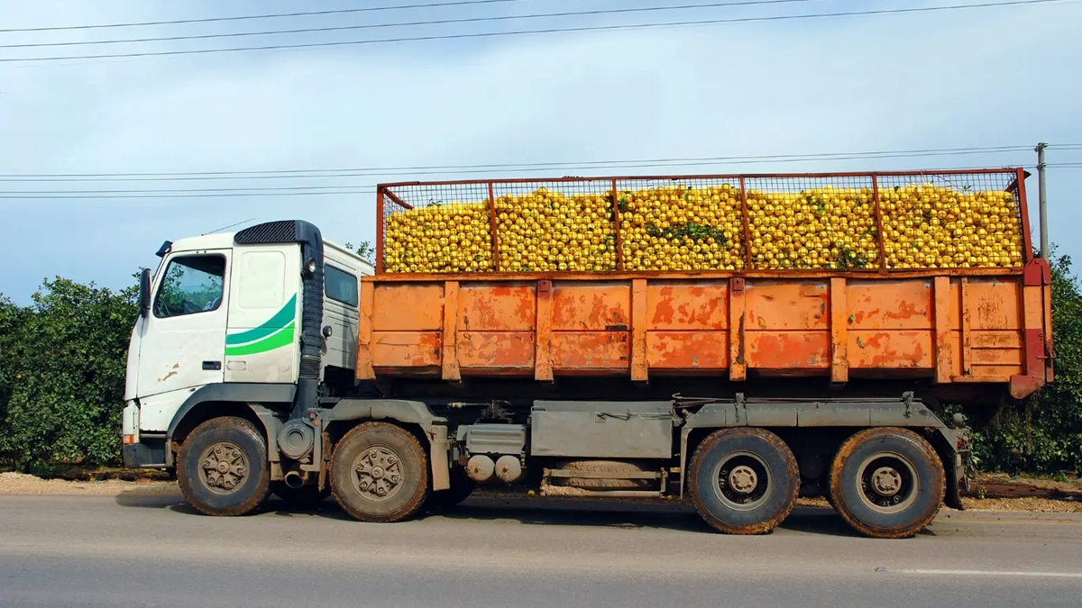 Modern Technologies for Measuring Fresh Produce Quality Parameters.png
